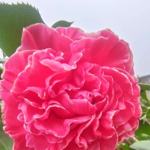 �������������