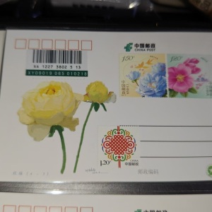 �������������