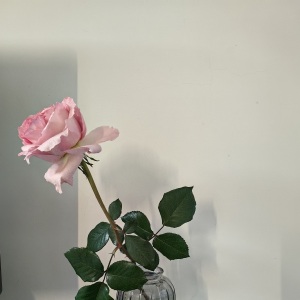 �������������