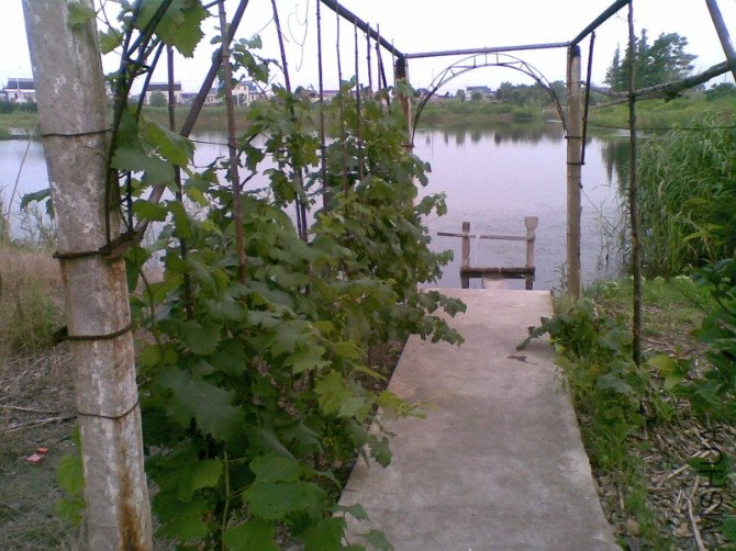 ����ǰ�����Ѽ�