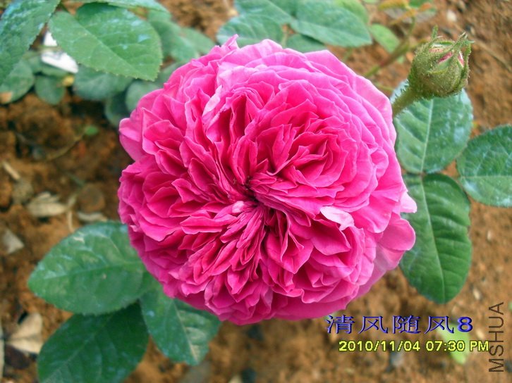 �Ű��������� (Barbara Oliva) (2).jpg