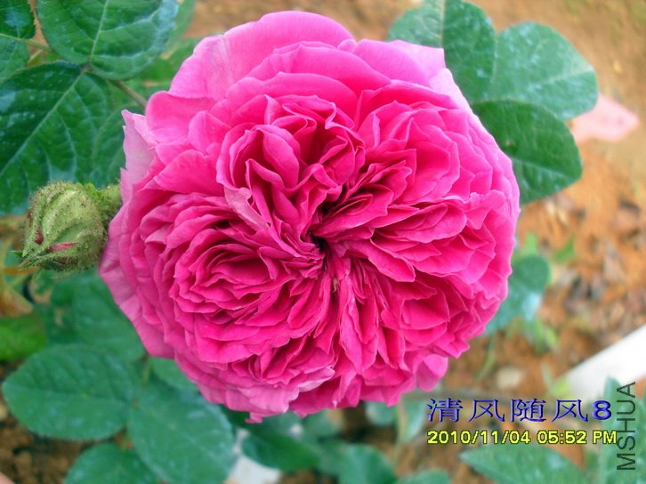 �Ű��������� (Barbara Oliva) (4).jpg