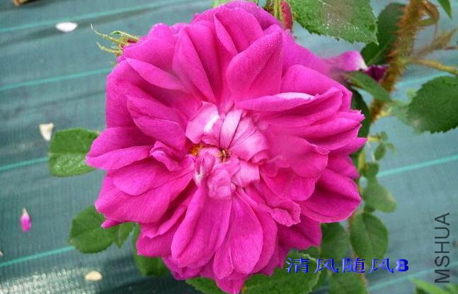 ղķ˹.Τ�� (James Veitch) (1).jpg