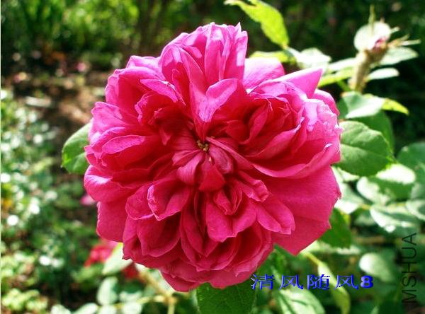 ղķ˹.Τ�� (James Veitch) (3).jpg