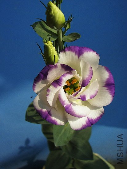 101_8749.jpg