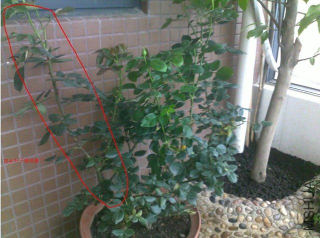 QQ��ͼ20110711192455.jpg