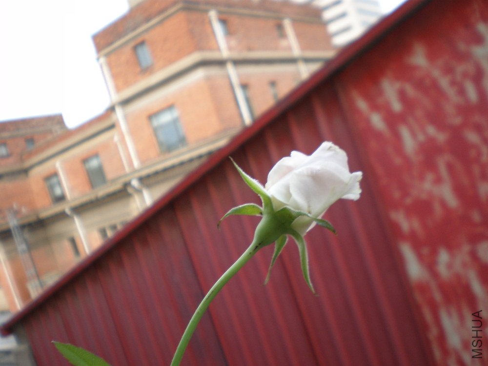 P1010025.JPG