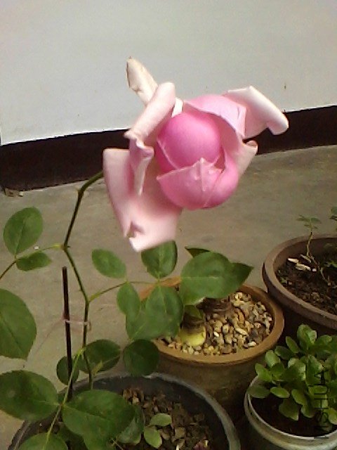 IMG0623104600.jpg