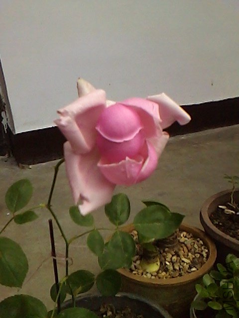 IMG0623104601.jpg