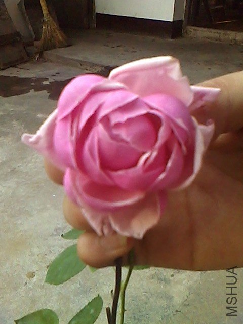 IMG0623165700.jpg