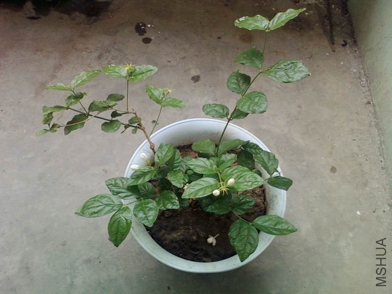 ������С SPM_A0140.jpg