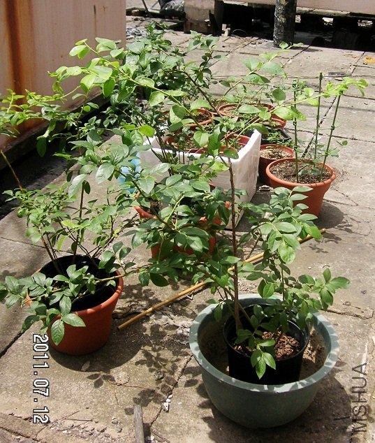 PICT0001.JPG