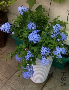 201107132076.jpg
