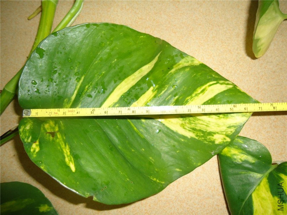 2011714100570890.jpg