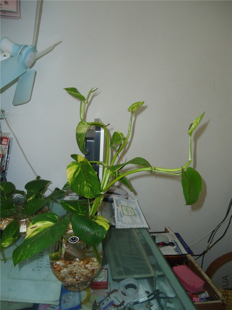 20117141002961612.jpg