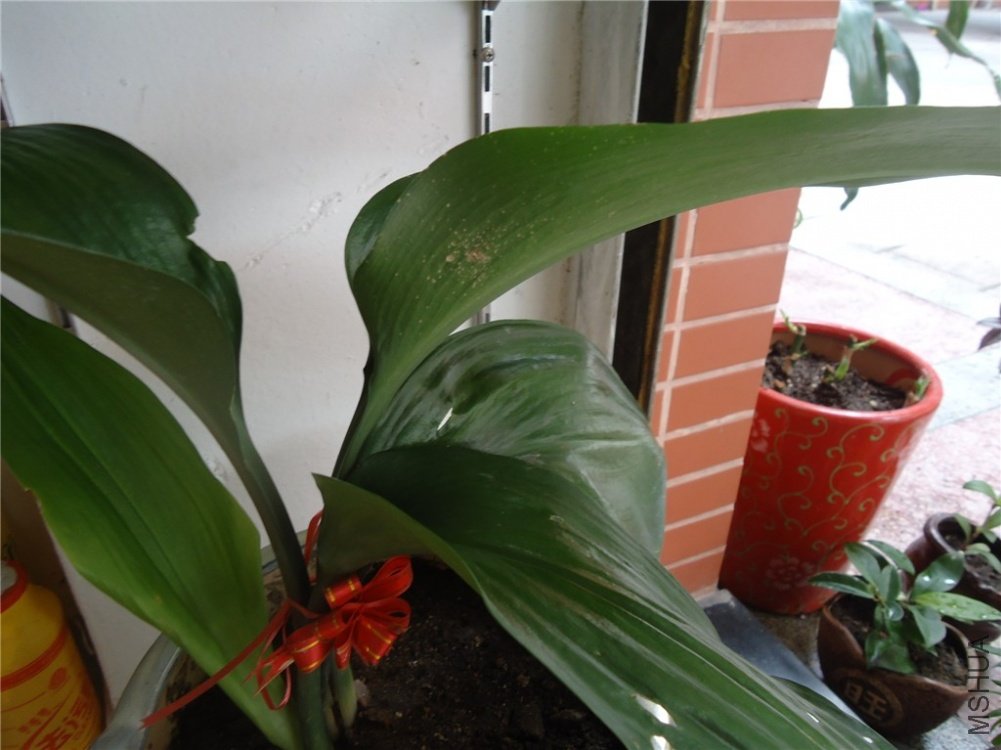 2011714951044564.jpg