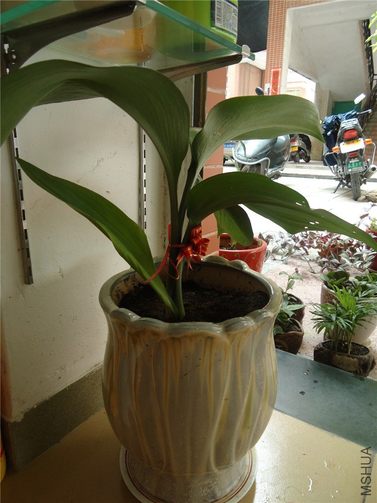 20117141002961612.jpg