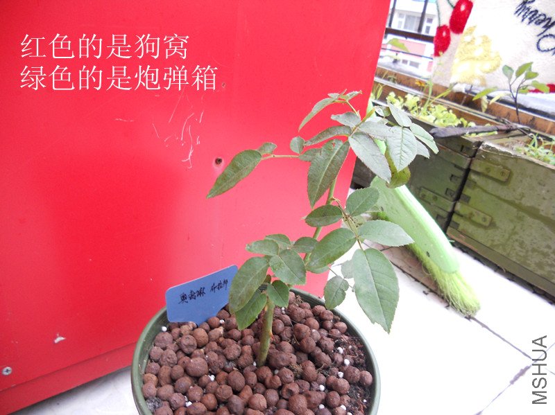 DSCN3387_����.jpg