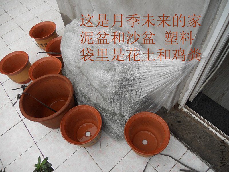 DSCN3390_����.jpg
