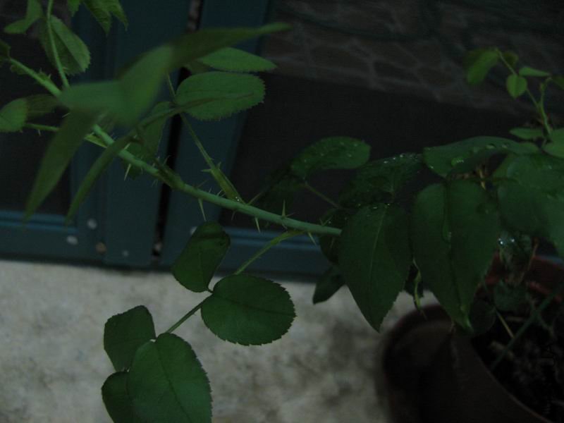 110714�¼�-�������ˣ�.JPG