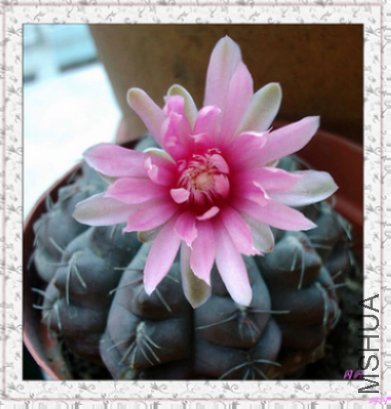 20110709142532.jpg