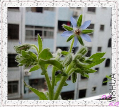 20110712072324.jpg