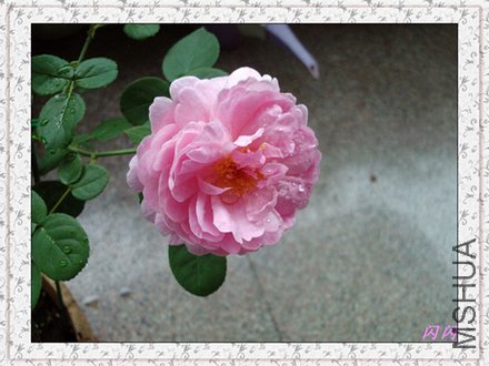 20110716094304.jpg