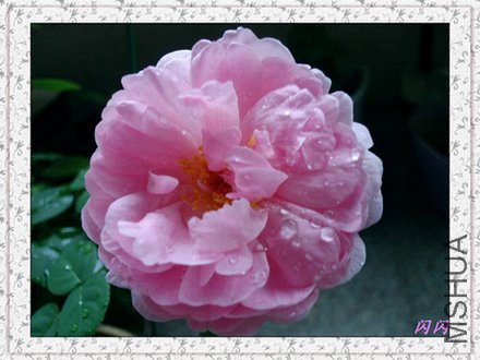 20110716094223.jpg