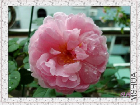 20110716093552.jpg
