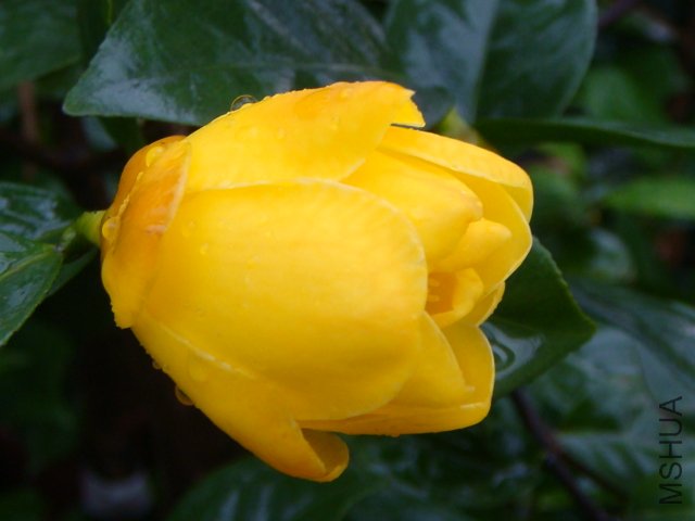 DSC07756.JPG