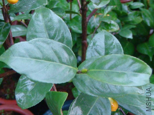 DSC07757.JPG