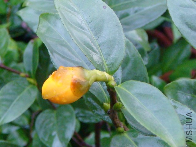 DSC07759.JPG
