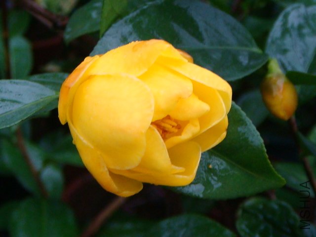 DSC07760.JPG