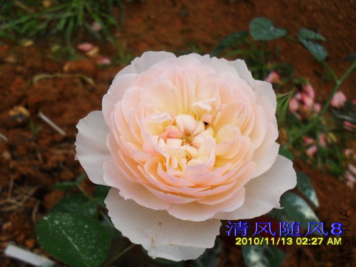 �ºͺ��� (Gentle Hermione) (1).jpg