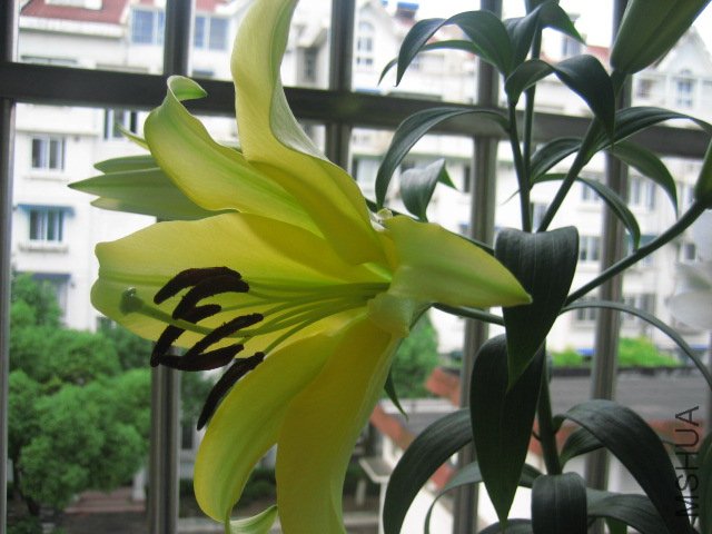 IMG_0475.JPG