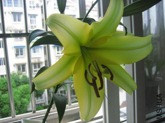IMG_0463.JPG
