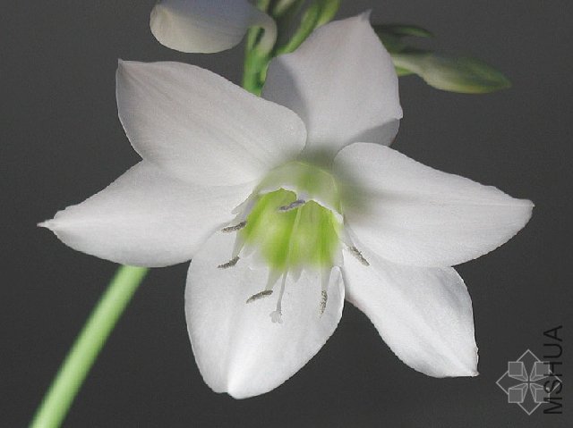 2006042115462331_1.jpg