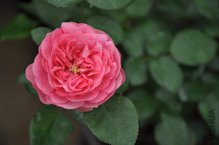 2011.7.15 010�۴�.jpg