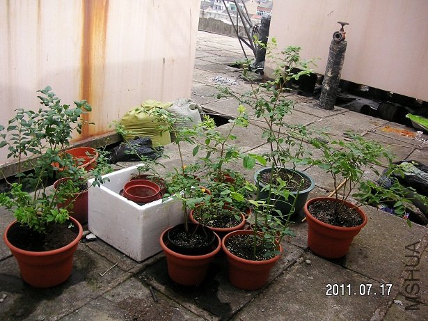 PICT0013.JPG
