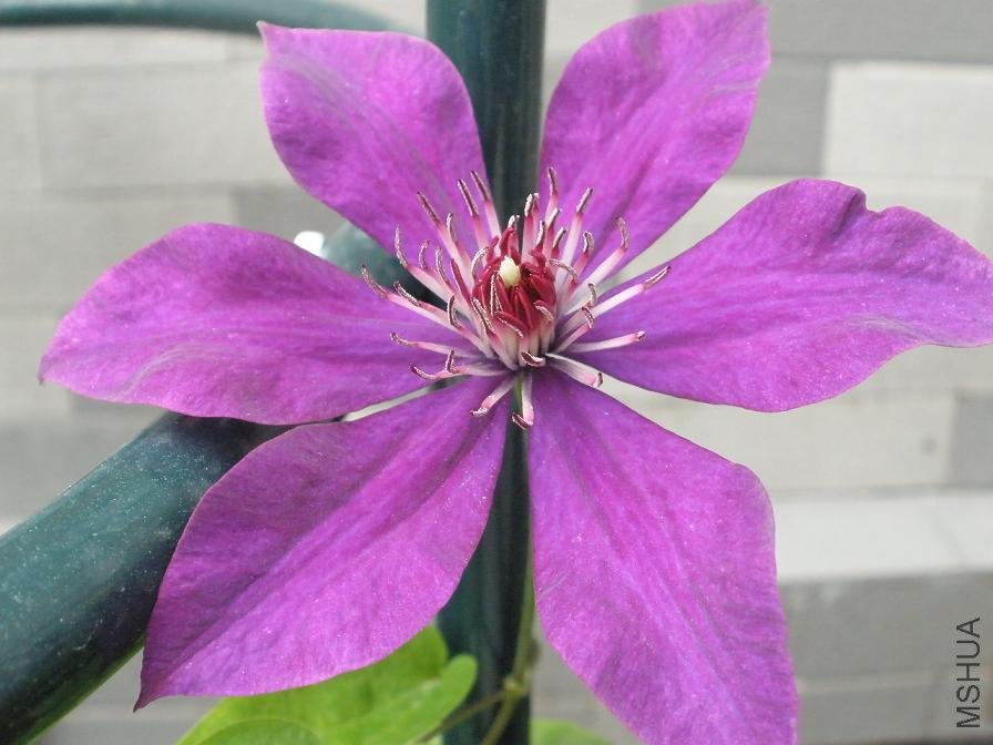P7180810.JPG