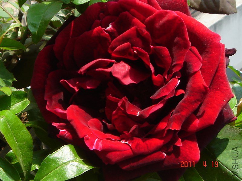 DSC00243_800x600.JPG