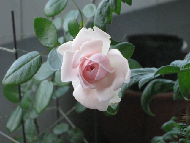 IMG_0001.JPG