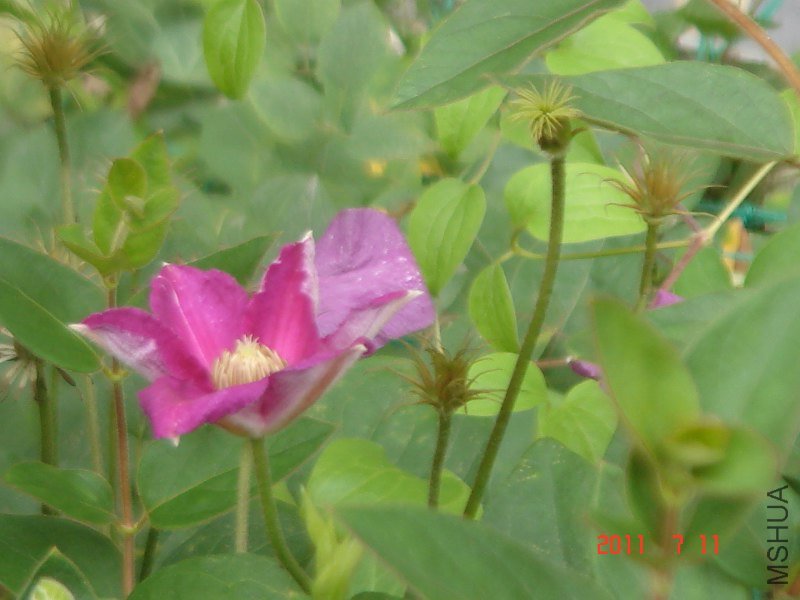 DSC05228_800x600.JPG