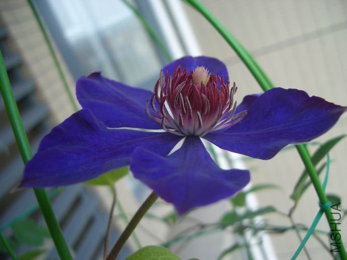 ������С CIMG0007.JPG