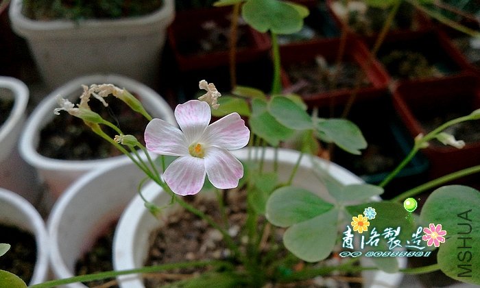 2011-07-09 11.47.20.jpg