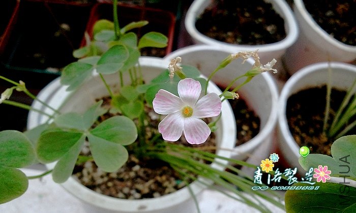 2011-07-09 11.48.23.jpg