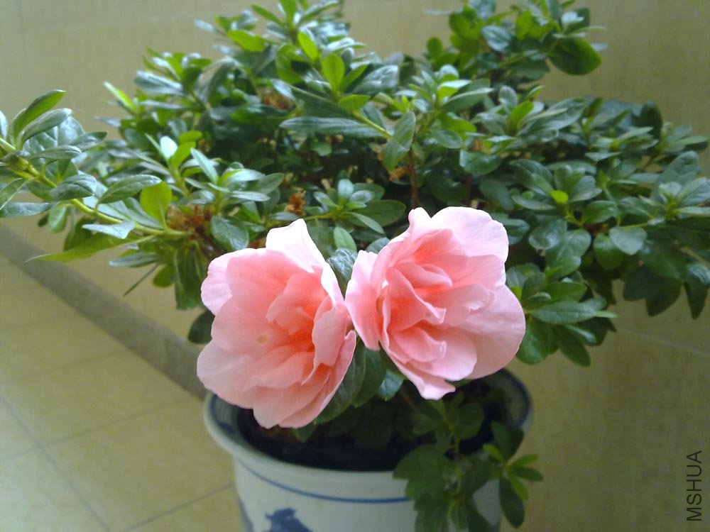 20110717403.jpg