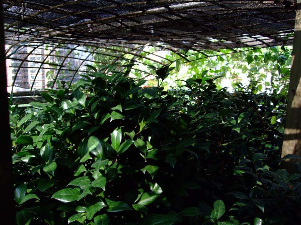 ��Ƭ11-7-20f 02111.jpg