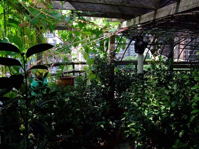 ��Ƭ11-7-20f 02011.jpg