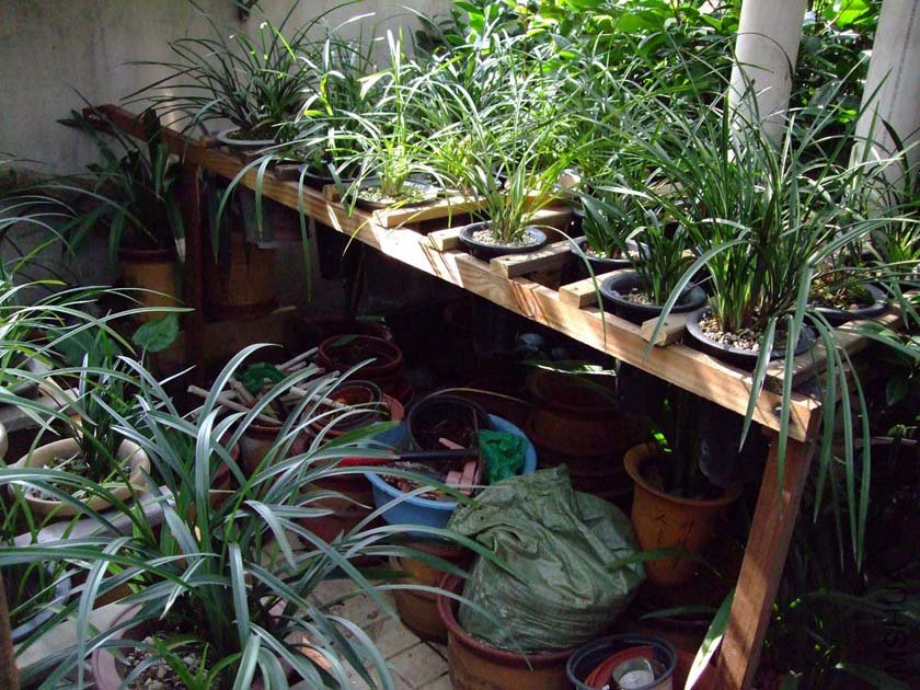��Ƭ11-7-20f 01111.jpg